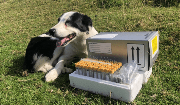 Sample Transport Packaging: Preserving Specimens for the Laboratory