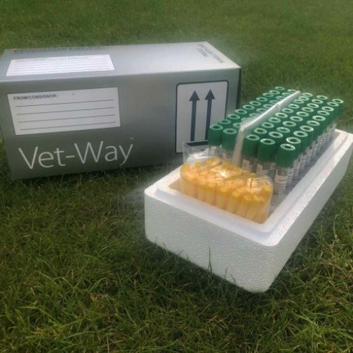 Lith Hep FK WR e1615224266842 Vet Field Kits – Green Top Tubes